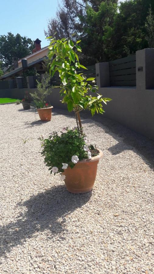 Apartman Nicolle Brzac Екстер'єр фото